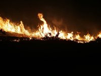 2017, el cuarto peor año en lo que va de siglo en incendios forestales y segundo con más grandes fuegos
