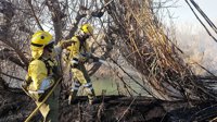 Efectivos del Plan Infomur apagan un incendio en la ribera del río Segura, en Calasparra