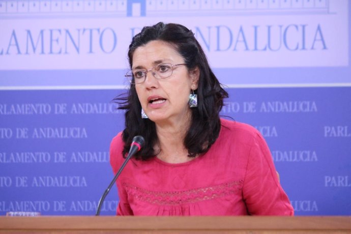 La parlamentaria de Podemos Carmen Molina