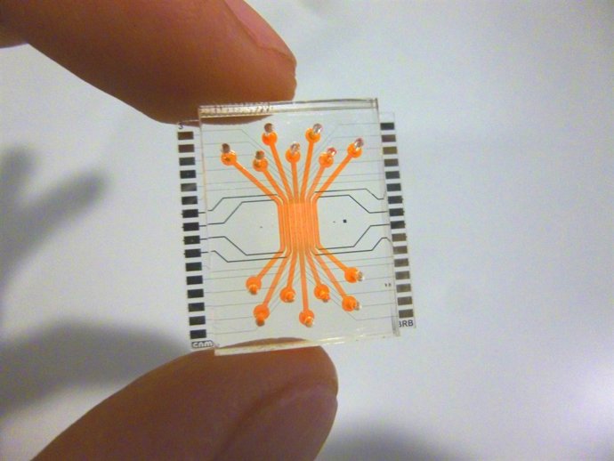 Reprodueixen la barrera de la retina humana en un microxip