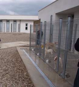 Perros en el Centro de Acogida de Animales del Ayuntamiento de Logroño    