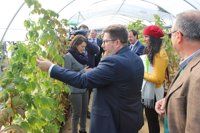 Junta subraya que la apuesta por la I+D y las nuevas variedades afianza a los frutos rojos como "punta de lanza"