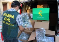 Desmantelan una organización dedicada al tráfico de internacional de hachís y marihuana asentada en Murcia y Alicante