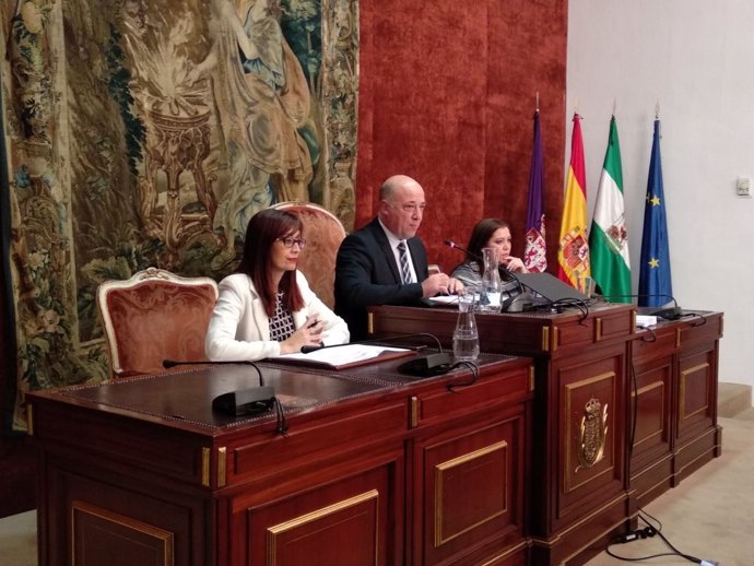 Antonio Ruiz preside el Pleno de la Diputación