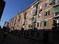 Vecinos piden al Ayuntamiento un informe que justifique la tala de 7 árboles de más de 50 años en Paseo de los Olivos