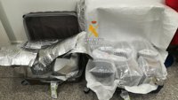 Intervenidos en el aeropuerto de Málaga 20 kilos de angulas vivas en maletas con destino Hong Kong