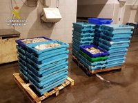 La Guardia Civil se incauta de 316 kilos de pulpo, pescadilla y rape inmaduro en Altea