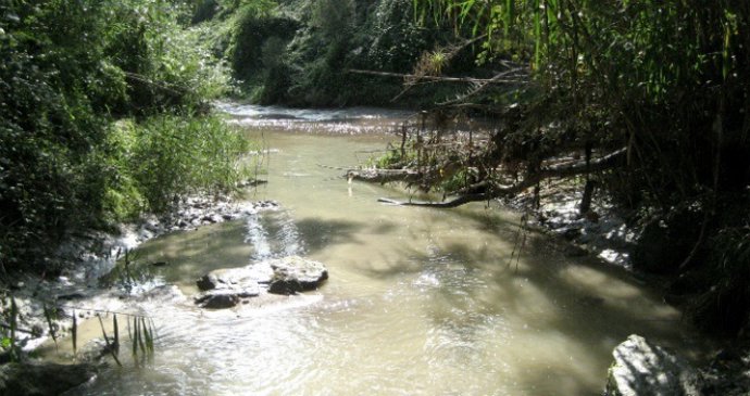 El riu Llobregat.