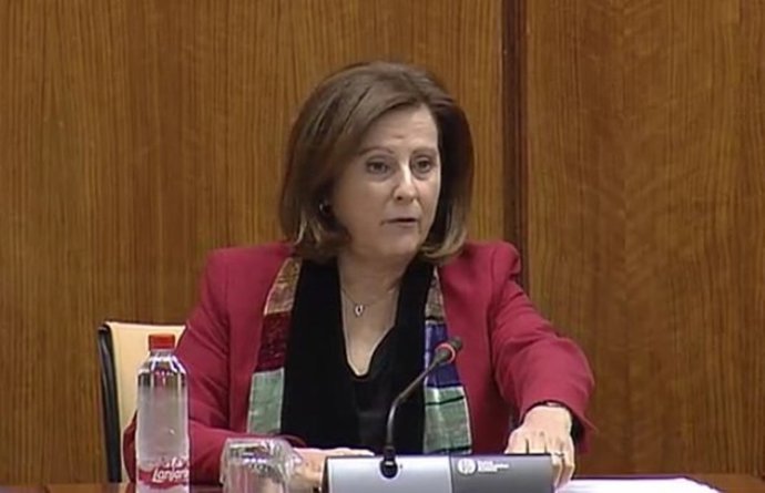 Sánchez Rubio en comisión parlamentaria