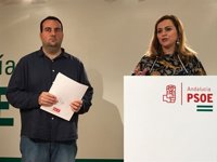 PSOE-A reprocha a Rajoy su "pasividad" ante la brecha salarial y le insta a cumplir el mandato de la UE para eliminarla