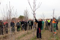 Medio centenar de trabajadores municipales se forman en mantenimiento urbano, en el vivero de la DPH