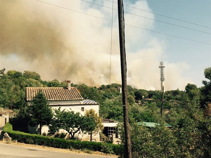 Bombers treballen en l'extinció d'un foc en una zona forestal de Girona