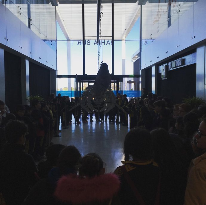 Escolares celebran el Día de la Educación Ambiental en Bahía Sur 