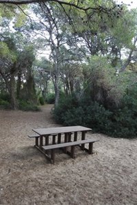 Mesas de picnic hechas de paja de arroz de L'Albufera y plástico del cultivo de chufa