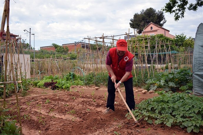 Hort social de Creu Roja al qual es van destinar recursos