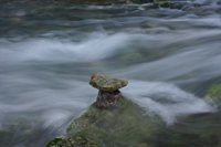 Brotan por primera vez este año ses Fonts Ufanes 