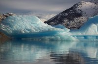 Trump deja perpleja a la comunidad científica con su afirmación de que las masas de hielo está "batiendo récords"