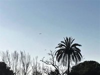 El Parc de la Ciutadella cerrará el martes los accesos al Parlament  con la Policía Nacional en las inmediaciones