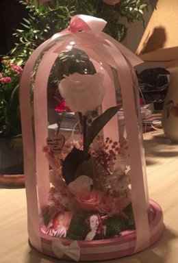 Rosa que acompaña al mensaje de la madre de Diana Quer en redes sociales