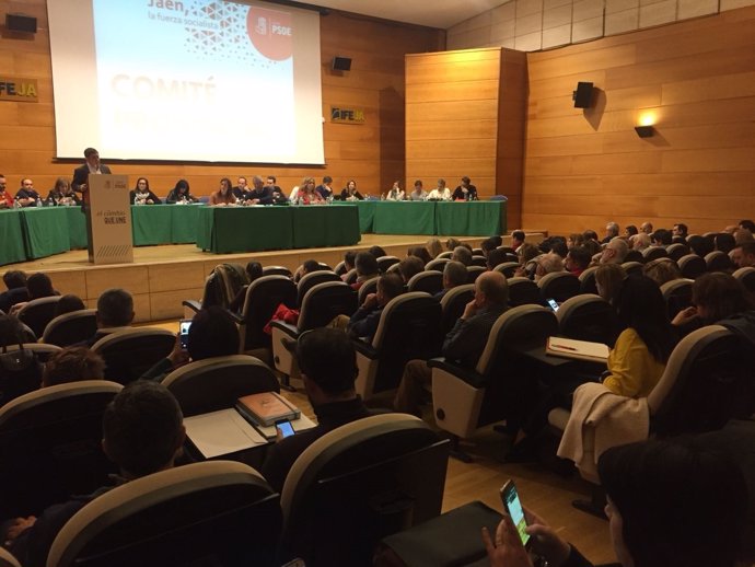 Reyes interviene en el Comité Provincial del PSOE de Jaén.