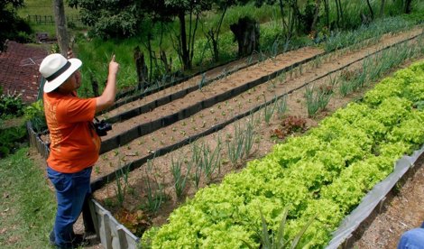 Cooperación y Desarrollo