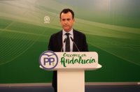 PP-A reclamará ante la justicia el dinero defraudado en los ERE tras decidir la Junta "reservarse" la vía civil