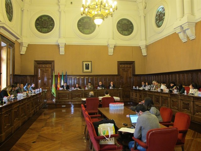 Pleno ordinario de la Diputación de Jaén.
