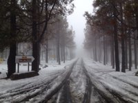 El Cabildo de Gran Canaria cierra el acceso a la cumbre y valorará su reapertura según la meteorología