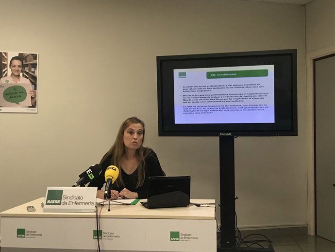 Secretaria técnica de satse