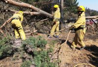Las cuadrillas terrestres comienzan este jueves los trabajos de prevención y extinción de incendios forestales