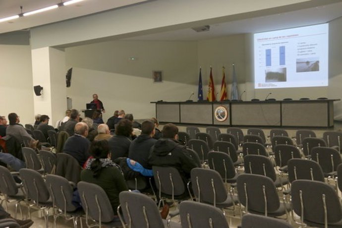 Agencia Catalana de Noticias