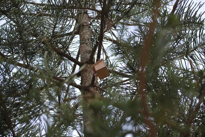 Uno de los nidos para gorriones