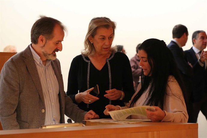 Pleno diputación de málaga 2018 enero