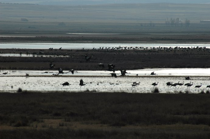 LAGUNA DE GALLOCANTA