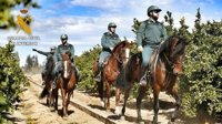La Guardia Civil de Salamanca refuerza la vigilancia a caballo en explotaciones agrícolas