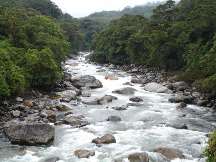 Río en los Andes amazónicos