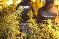 Cuatro detenidos en una operación para desmantelar un punto de venta de marihuana en Establiments