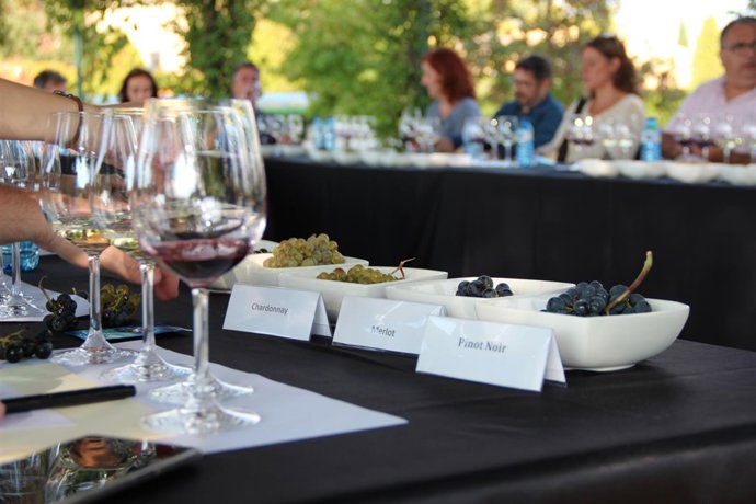 Actividad 'Del la cepa a la copa' de Bodegas Torres