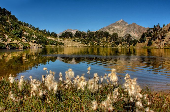 Parc Nacional d'Aigüestortes i Estany de Sant Maurici
