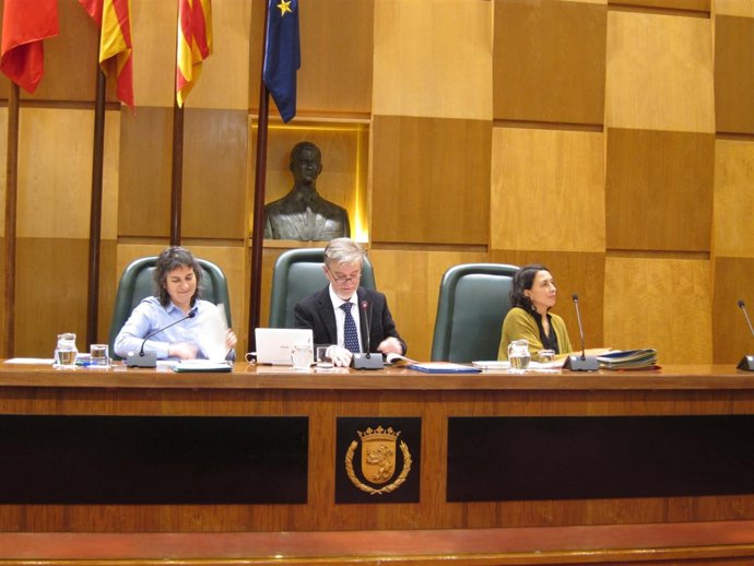 El Alcalde En El Pleno