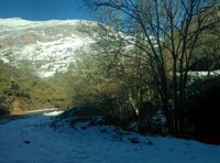 Asturias está este sábado en riesgo por nevadas 
