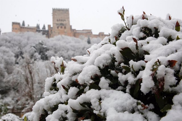 Nieve en Granada
