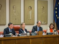 El Congreso recibe el martes a las dos únicas cajas supervivientes de la crisis