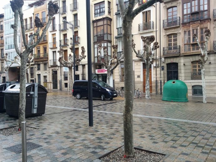 Arboles en la calle Bretón de los Herreros
