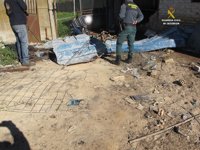 Hallan dos caballos muertos en una finca en Bormujos e investigan posible maltrato animal