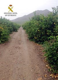 Dos detenidos por estafar más de 300.000 euros a una docena de empresas agrícolas de Murcia y Alicante