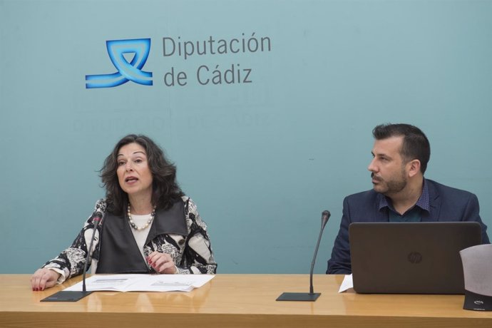 Presentación Plan de Movilidad Sostenible de Diputación
