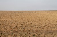 Plataforma dice que el terremoto de La Alberca muestra la "vulnerabilidad" de los terrenos