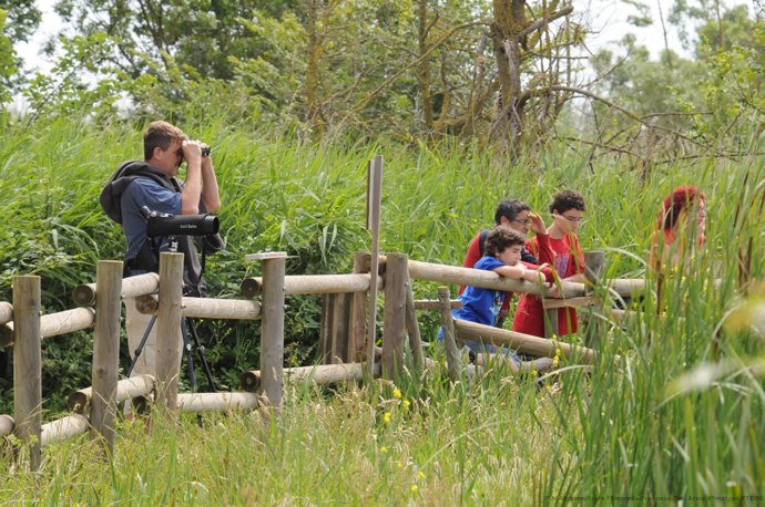 ÛBirdwatching' als Aiguamolls de l'Empordà