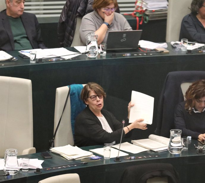 Inés Sabanés en el Pleno municipal